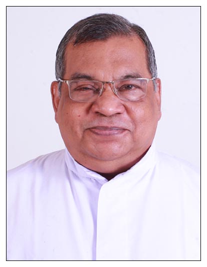 Rev. Fr Joseph T Medayil CMI (74)